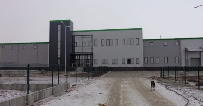 Запущено в роботу мясопереробний комбінат «Хакасская баранина»