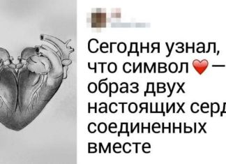 18 користувачів мережі, які знають про цьому світі більше, ніж гугл