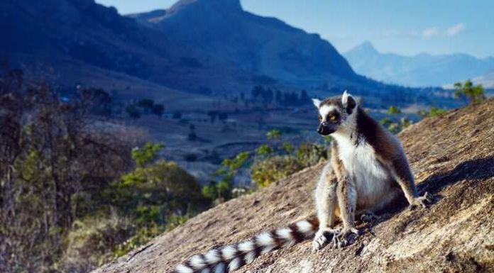 Як росіяни живуть на Мадагаскарі?