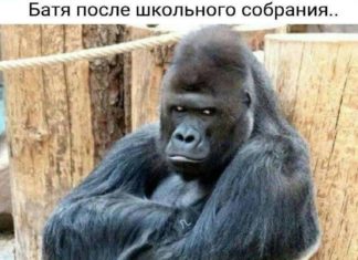 Якщо ви сімєю виїхали на природу, памятайте, що незнайомий водойма треба заходити поступово…