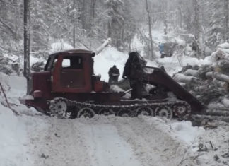 Лісовози Півночі: жорстка і небезпечна професія