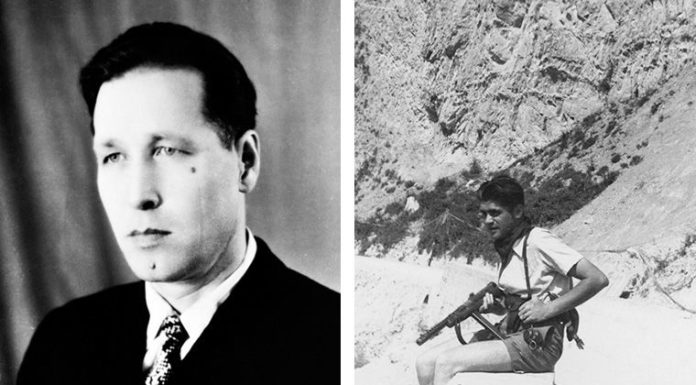 Партизани: герой, вбивця і фантом