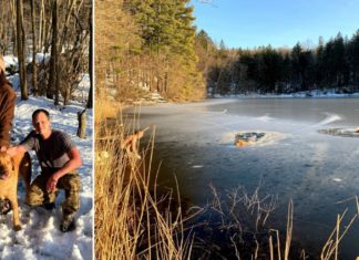 У США чоловік врятував потопаючих собак, пробивши для них дорогу по льоду голим торсом
