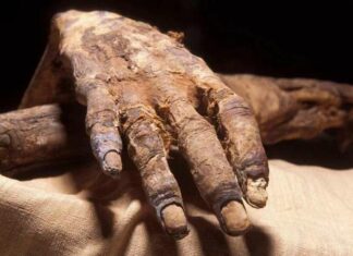 В аеропорту Каїра виявили найдавніших мумій, яких хотіли вивезти з країни