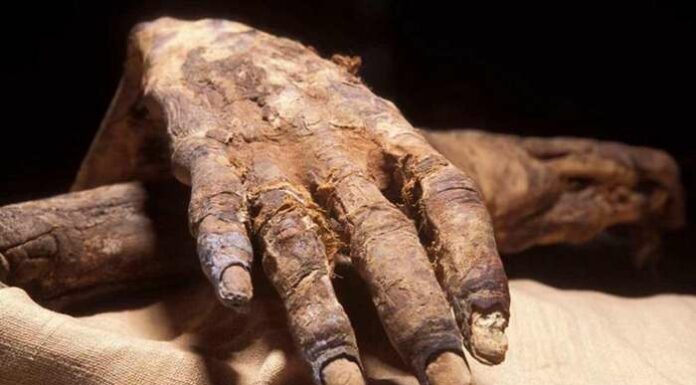 В аеропорту Каїра виявили найдавніших мумій, яких хотіли вивезти з країни