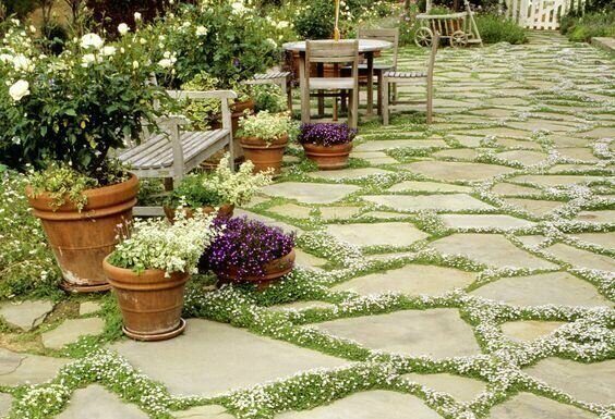 20 фантастичних ідей садових доріжок