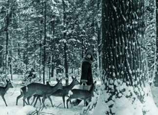 «Відьма» з Біловезької пущі Симона Коссак