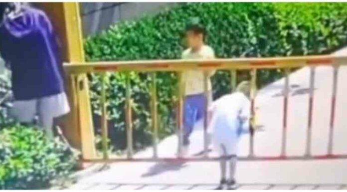 Дитина мало не загинула через дурість матері (1 фото + 1 відео)