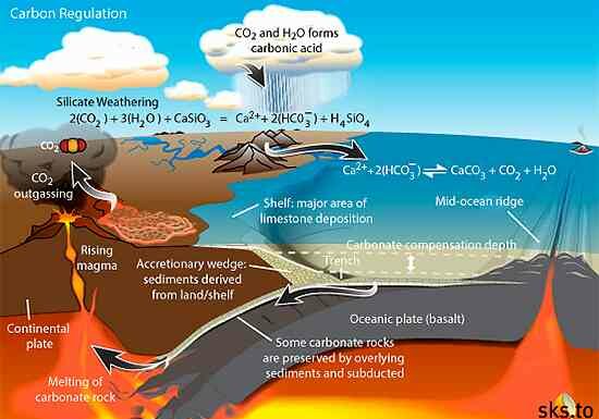 Планети земного типу можуть володіти вбудованим ліквідатором складного життя