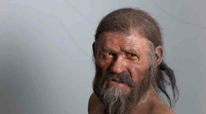 Крижана мумія еці: що стало відомо через 30 років з моменту її знахідки