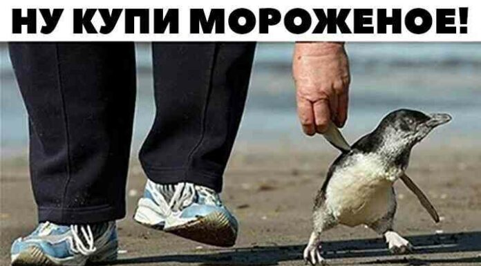 Смішні та пізнавальні картинки (25 фото)