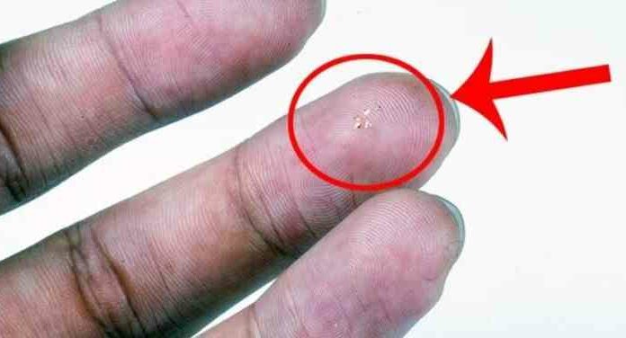 Розроблений найменший літальний апарат. Для чого він потрібен?