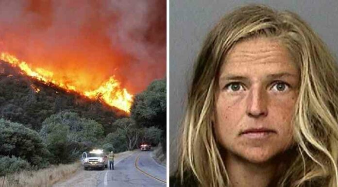 У каліфорнії шаманка кип’ятила ведмежу сечу і влаштувала грандіозну лісову пожежу