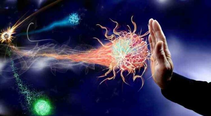 Ваш імунітет також унікальний, як відбитки пальців