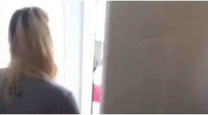 Дівчина недовго раділа своєму возз’єднанню зі зниклою кішкою (1 фото + 1 відео)