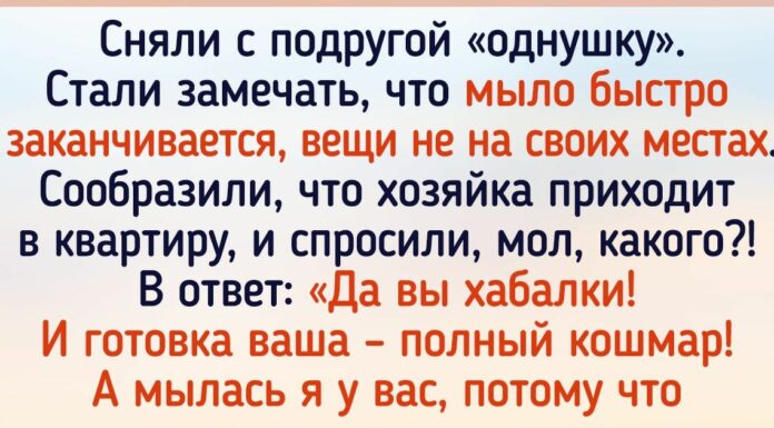20 + доказів того, що після життя в орендованій квартирі можна валер’янку замість чаю пити