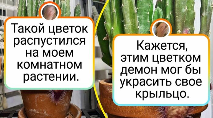 20 подій, шансів на які майже не було, але всесвіт вирішила приколотися