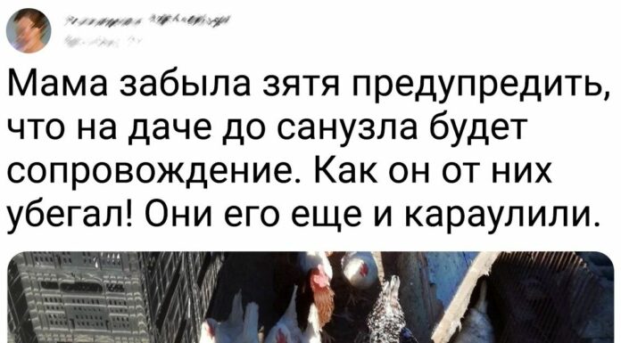 20 + доказів того, що життя за містом-це чудовий новий світ зі своїми нюансами і колоритом