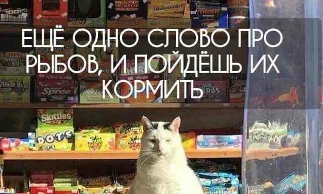 Веселі картинки. Випуск 31 (30 фото + 2 відео)