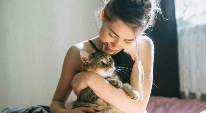 У відповіді за тих, кого приручили (9 фото)