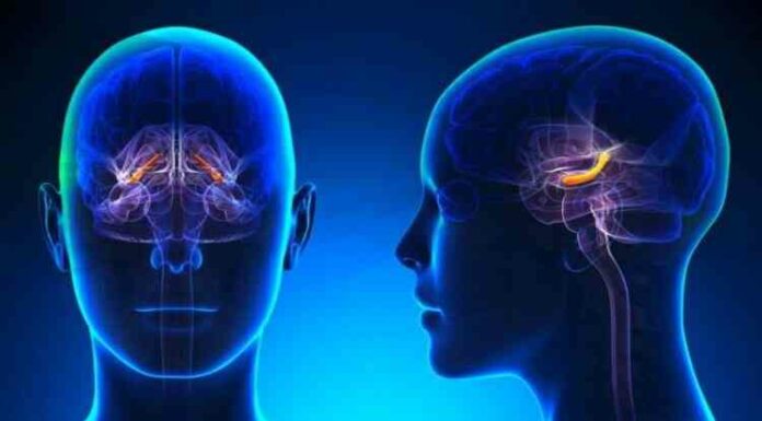 Як пам’ять людини з фрагментів перетворюється на розповідь