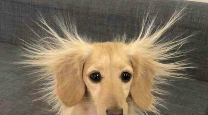 Чарівні фотографії з хорошими хлопчиками і дівчатками, які піднімуть вам настрій (14 фото)