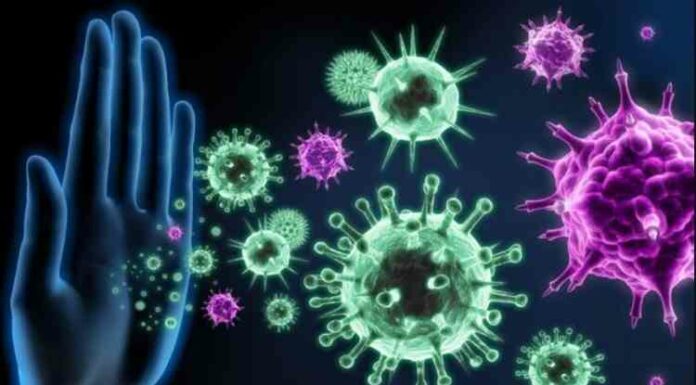 Імунний досвід може переходити у спадок