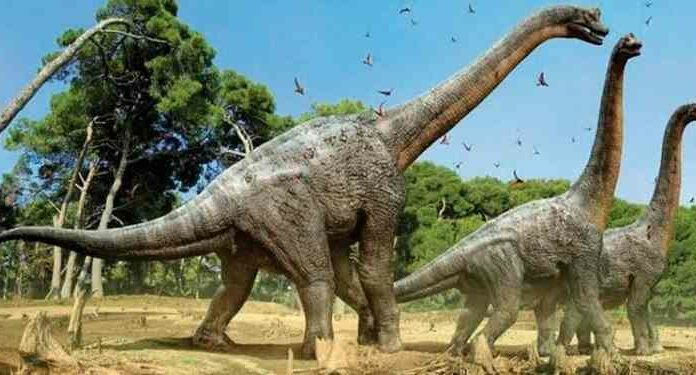 Соціальна поведінка перших динозаврів допомогла їм пережити масове вимирання