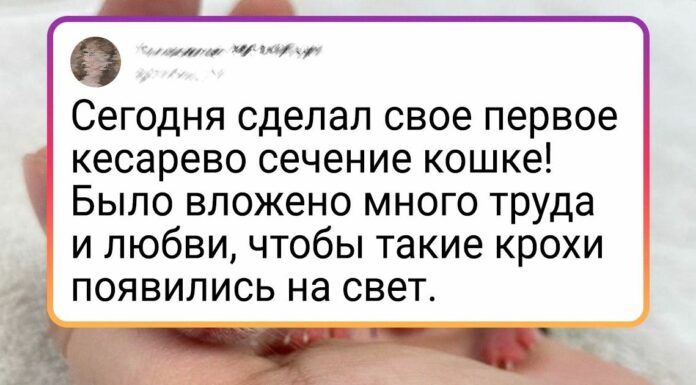 Альберт пірпойнт-останній кат імперії