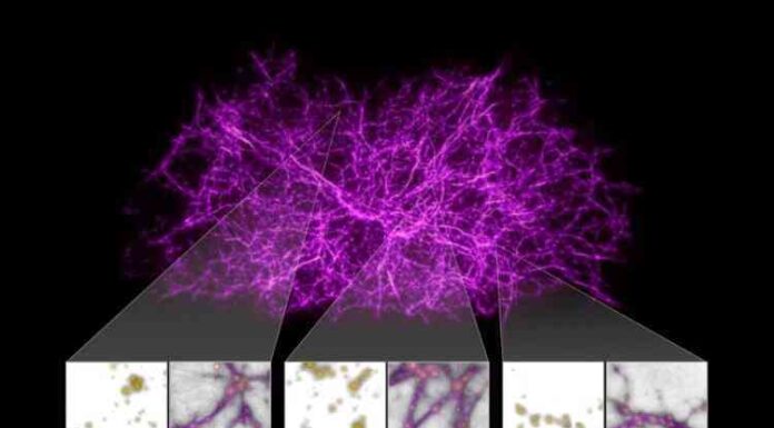 Астрофізики виявили «мости» з темної матерії. Що це таке?