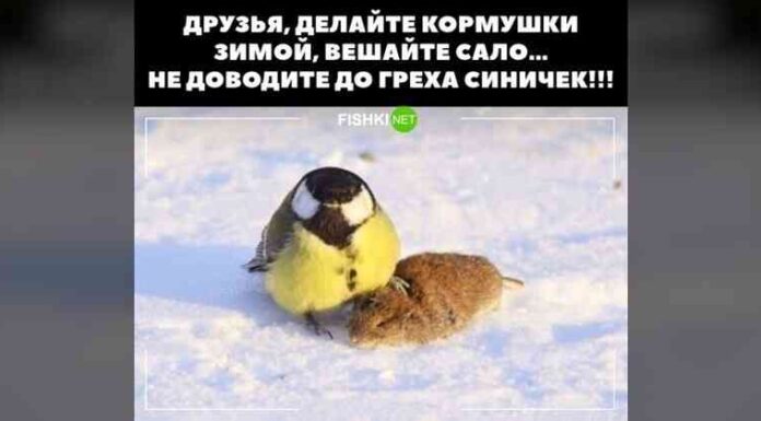 Зима, холоди… Забійний пост, припорошений снігом