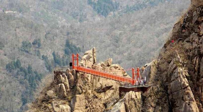 Гойдаючий гейерлей і старий убейн: 5 мостів, які змушують серце битися швидше