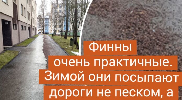 16 колоритних знімків з фінляндії-батьківщини мумі-тролів і скандинавської ходьби