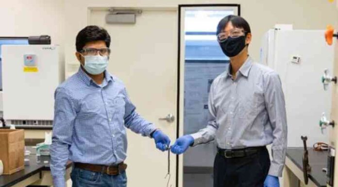 Вчені створили найсильніший клей, що піднімає до 136 кілограмів ваги