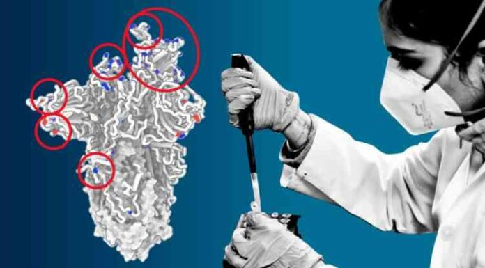 Що відбувається: 13 ключових мутацій омікрона