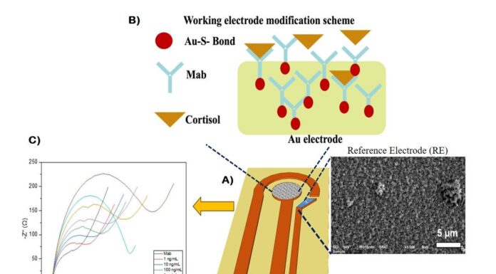 Наночастицы: Ключ к домашнему мониторингу стресса