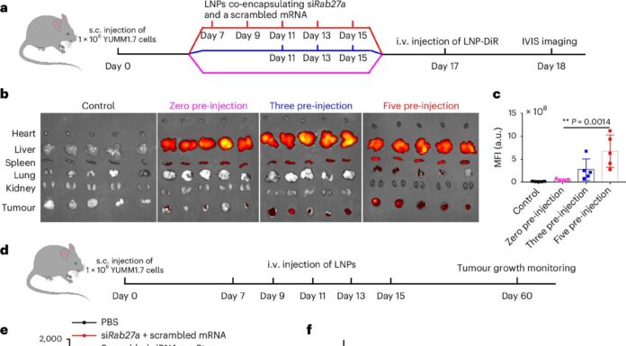 Раковая “Звезда Смерти”: Как опухоли строят защитные барьеры и как их можно обмануть