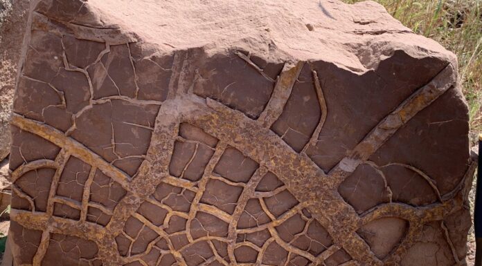 Эль-Ниньо Гигант: Как Массовое Потепление 252 Миллионов Лет Назад Уничтожило Мир