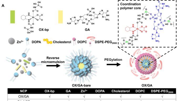 Микроскопические Воины против Рака: Наночастицы Доставляют Химиотерапию Прямо в Опухоль