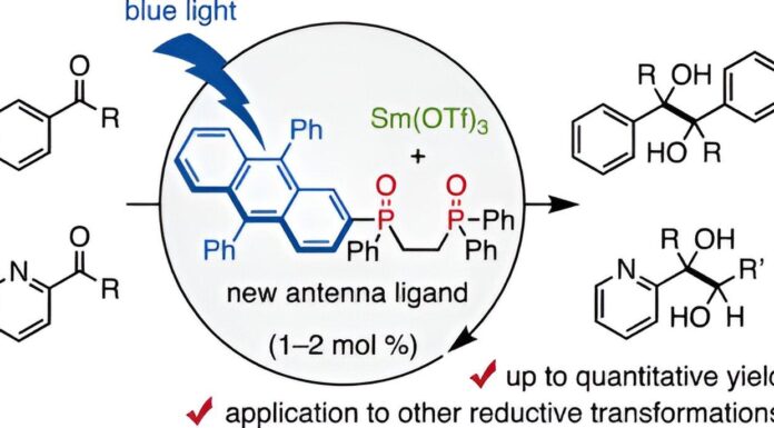 Хэштег #СамарийВНовомСвете: Катализ с Минимальными Ресурсами и Максимумом Эффективности