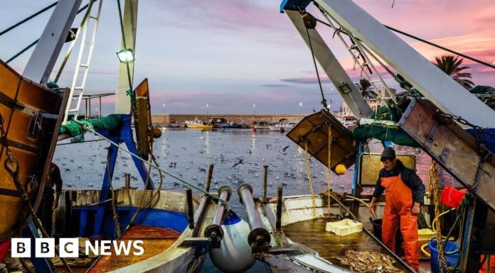 Великобританія пропонує розширити заборону на руйнівний донний траловий промисел в океані