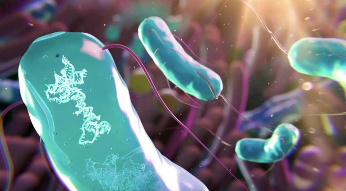 Генетично адаптовані мікроби можуть змінити наш мікробіом