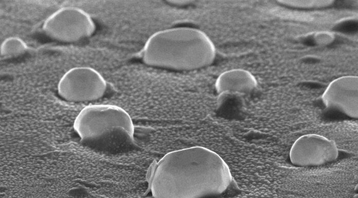 Металеві нанокаталізатори: що насправді відбувається під час каталізу