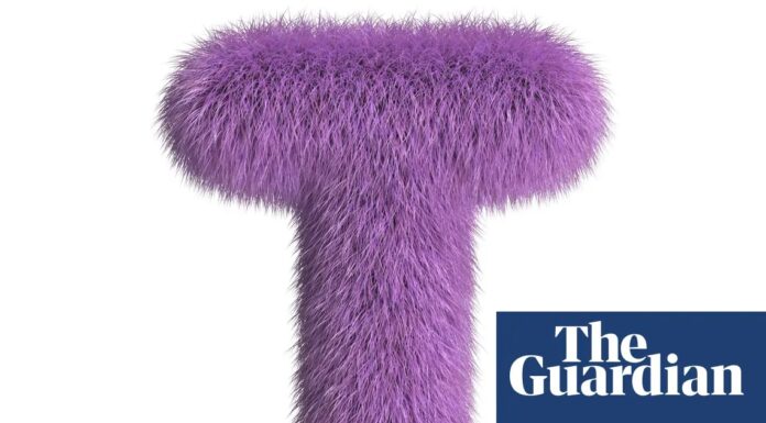 Чи зможеш ти її розгадати? Проста Т-подібна головоломка, яка всіх вводить в оману (спочатку!)