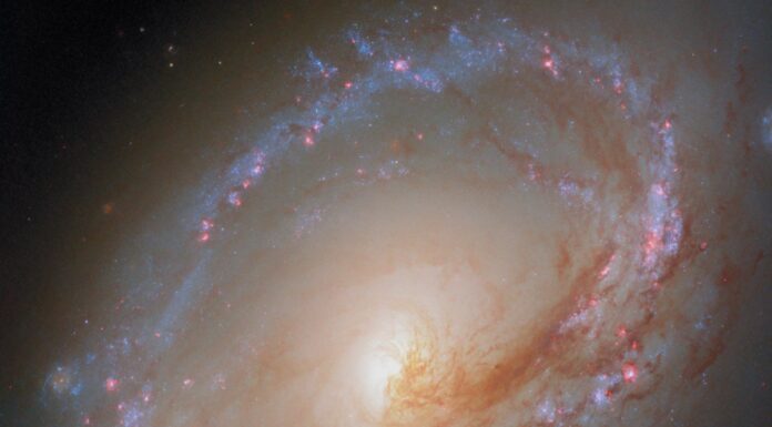 Галактика, Скручена Гравітацією, Сяє Маленькими Зірками