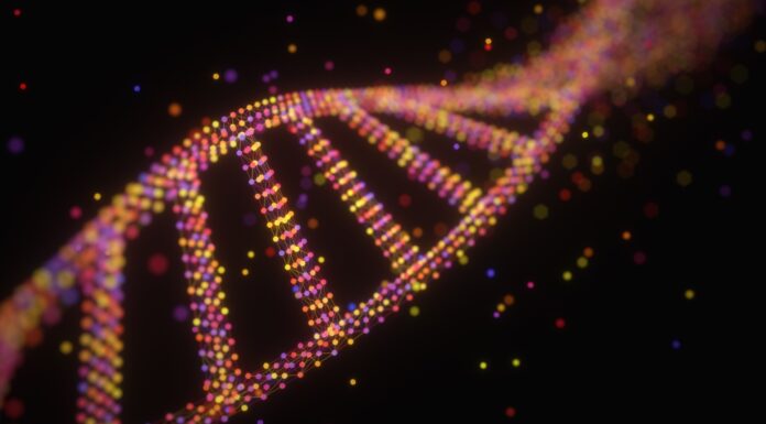 «Годинник старіння «показує, наскільки ви» старші » свого хронологічного віку. Як вони працюють?