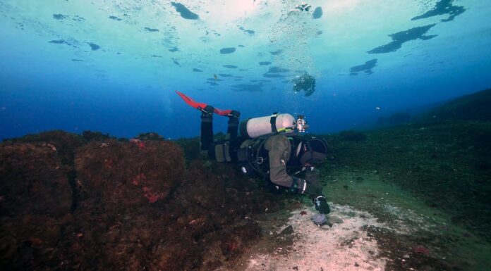 Витоки метану під Антарктичним океаном зросли, викликаючи побоювання щодо фатальної кліматичної петлі.
