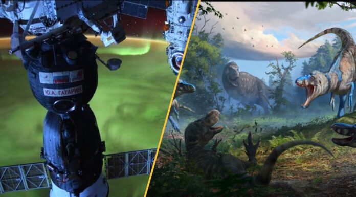 Огляд науки: від відкриттів, пов’язаних з кометою, до чат-ботів, які лаються матом