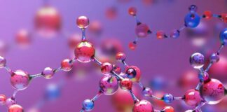 Хімічний комп’ютер, що моделює адаптивні мережі життя