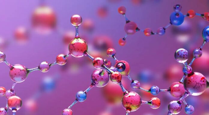 Хімічний комп’ютер, що моделює адаптивні мережі життя